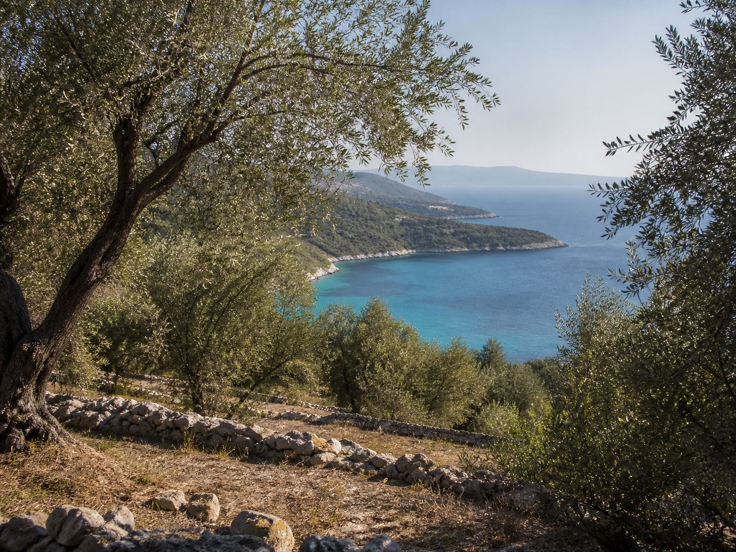 Olive terraces of the kind found across the island, illustrative. Not a photograph of this property.